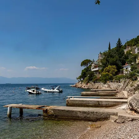 Adriatic Pearl - Happy